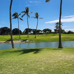 Meet your Posher, Gregory